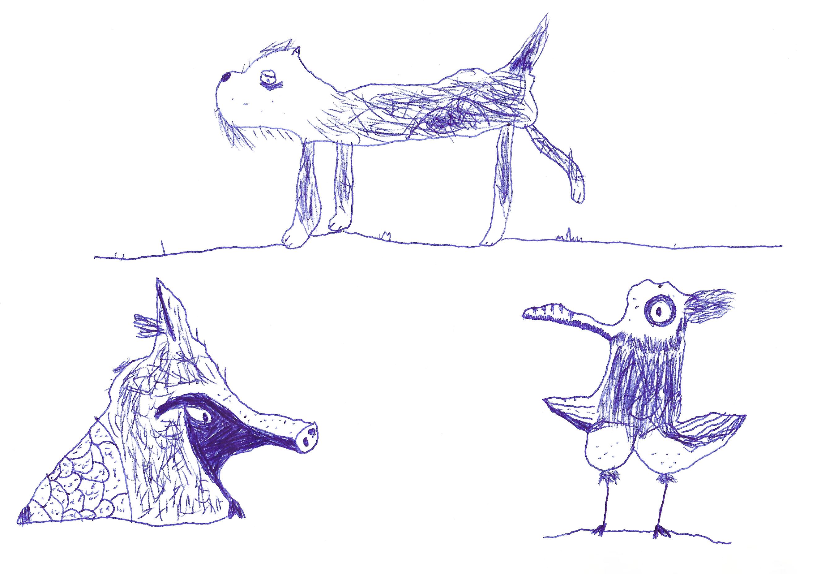 creature sketches
